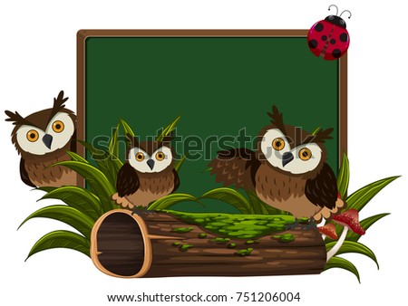 Chalkboard with three owls illustration