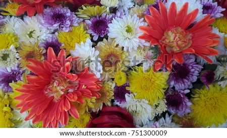 Flowers Decoration