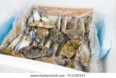 frozen blue swimming crabs in the foam box for sell