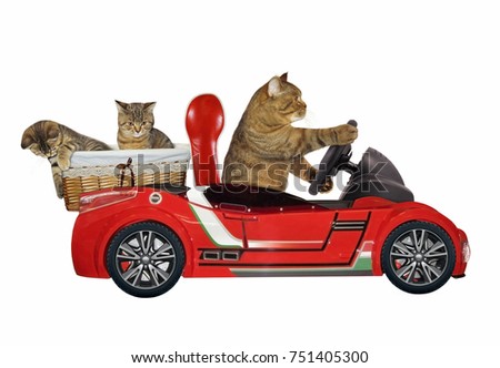 The cat in a red car carries a wicker basket with two kittens. White background.