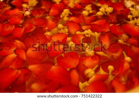 Rose and jasmine flowers used in various ceremonies such as weddings in Thailand.