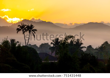 Landscape sunset nature Silhouette palm tree on sunrise mountain and fog background