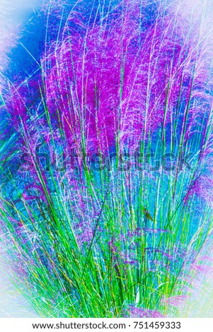 Beach grass, painting with colors .Digitally enhanced photo ,the natural colors saturated, with oval vignette,