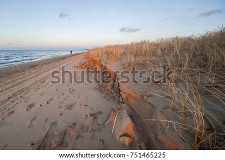 Sand beach with grass at coast of sea water waves in autumn evening sunset sky clouds light