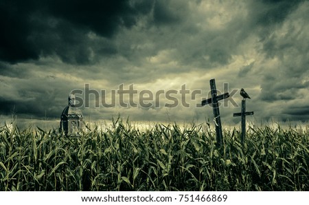 Spooky cornfield at night. A black crow sits on a crucifix and there is a church in the background
