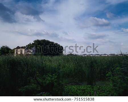 Abandoned house in solitary and dark picture