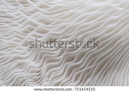 abstract nature background macro of Sajor-caju Mushroom plants. Using idea design texture pattern concept natural or wallpaper. Royalty-Free Stock Photo #751654510
