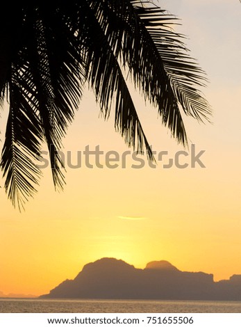 Palm Paradise Bay View 