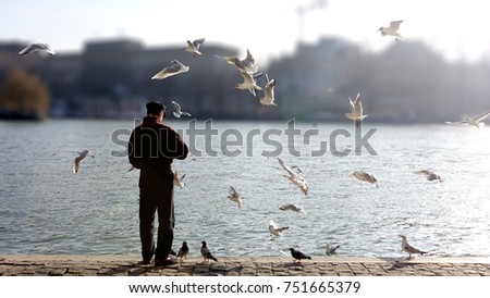 Old man is feeding hungry birds at the Seine river in Paris, France.                        