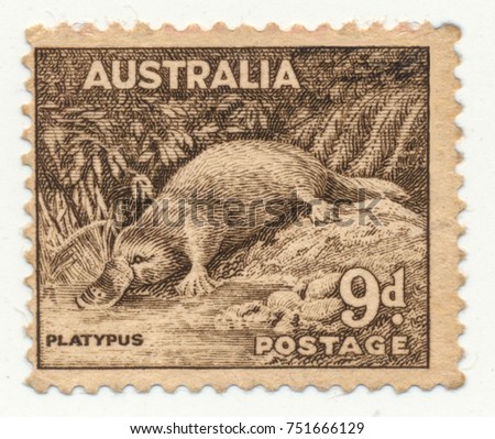 AUSTRALIA - CIRCA 1937: A stamp printed in Australia shows platypus.
