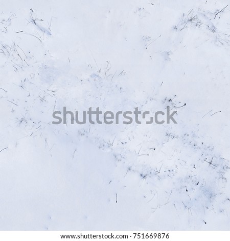 Texture of snow with frozen dry grass.Seamless texture.