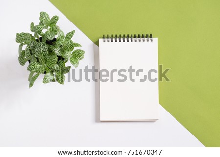 Blank notepad with plant pot on white and green background Royalty-Free Stock Photo #751670347