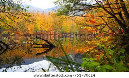 Yedigoller National Park in Autumn
