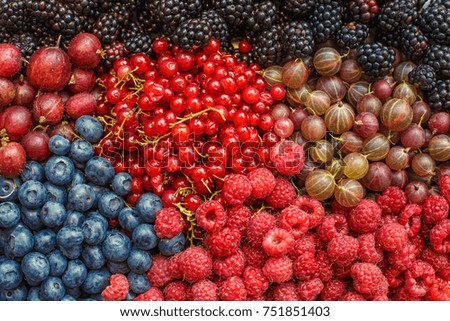 fresh berries for refreshments
