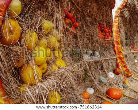 various color (yellow, orange , white and gray) Pumpkin  on Straw Wall