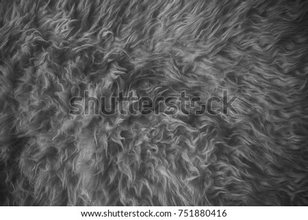 White fur texture. Close up view of abstract fur background. Natural white fur background. Animal hair. Abstract texture and background for designers. White wool texture. Fur textured. 