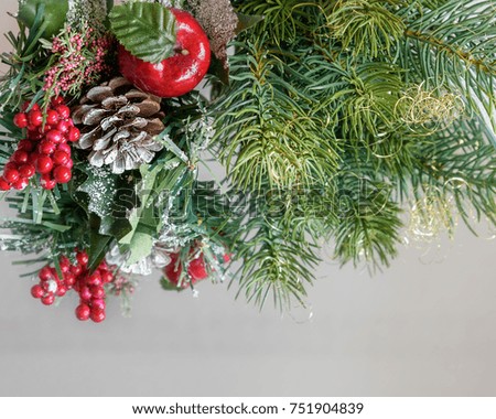 Christmas winter decorations. Christmas Border with green spruce branches, cones, red berries Holly, red apple in snow