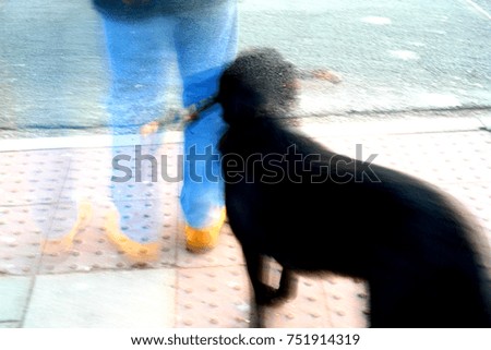 blurry abstract picture of bottom half of man in blue jeans ans a black dog indicating friendship