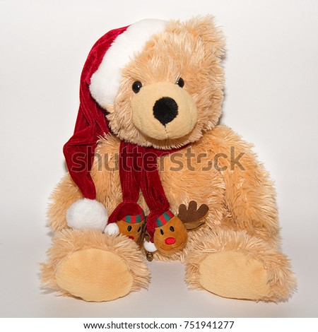 Teddy bear wearing a santa hat isolated on white background