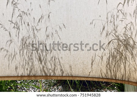 Grasses and flowers cast their picturesque shadows on a canvas in a park