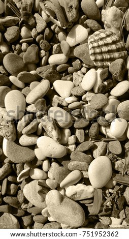 Sepia tone photo of beach pebbles, sand, shells and sticks