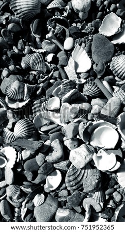 Black and white, monochrome photo of beach pebbles, sand, shells and sticks