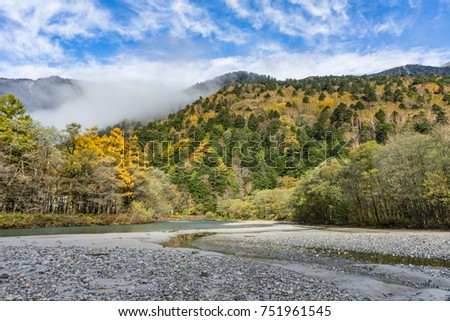 beautiful view of mountain with fog and colorful yellow tree in early morning autumn, Kamikochi central Japan.