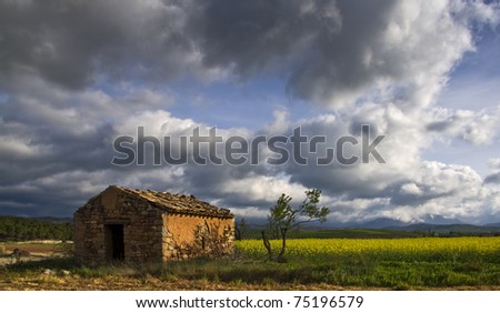 Little house in meadow
