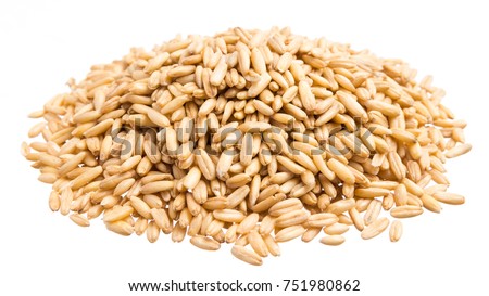 Avena Sativa is scientific name of Oat cereal grain. Also known as Aveia or Avena. Pile of grains, isolated white background. Royalty-Free Stock Photo #751980862