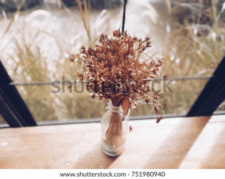 Hay flower in a vase