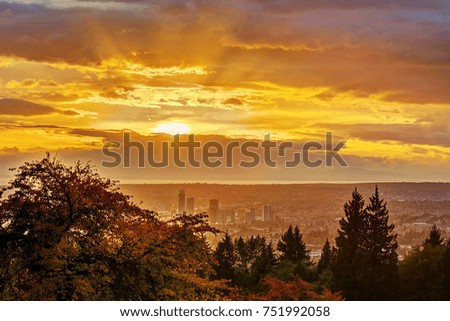sunset view with autumn trees in the foreground