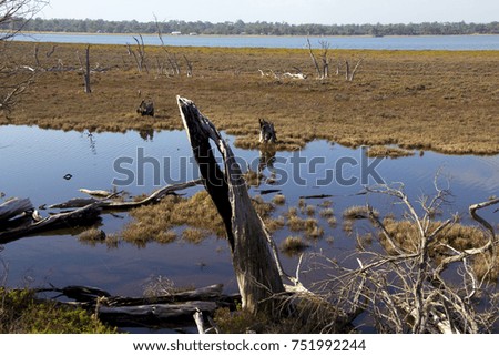 The marshy  end of the  secluded  Leschenault Estuary Peninsula  conservation park near Australind Western Australia on a calm day in early winter.