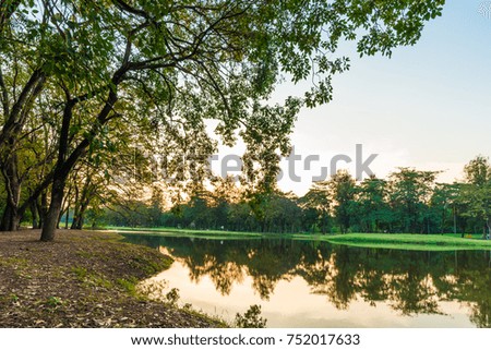 City public park green tree foliage with pond sunset scene