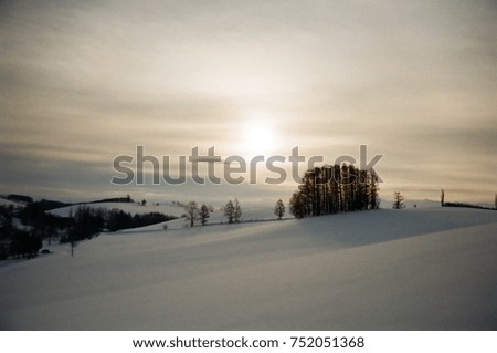 snowy scene and sunrise biei. Hokkaido. Japan Film pics
