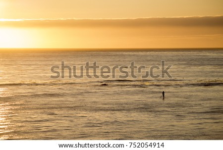 Stand up Paddleboarder in silhouette at sunset