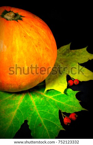 still life with half orange pumpkin and yellow leaves on black background