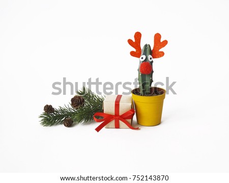 Deer cactus in a flower pot. Christmas decor. Succulent. White background. Gift in the box, spruce branch with cones.                               
