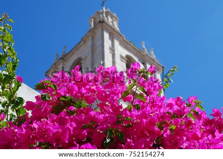 Flowers in front of a tower of the Church of Sao Vicente of Fora; meaning "Monastery of St. Vincent Outside the Walls" is a 17th-century church and monastery in the city of Lisbon, Portugal
