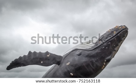 Whale jumps out of the water near dutch island in the Netherlands Royalty-Free Stock Photo #752163118