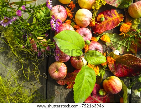 Beautiful photo with apples, red leaves, flowers calendula and herbs  on a wooden  background. Vintage art autumn background.Thanksgiving Day template.