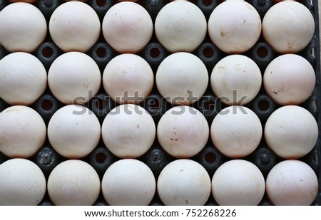 Duck eggs lay in a tray as beautiful as the background image.
