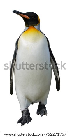King penguin isolated on white Royalty-Free Stock Photo #752271967