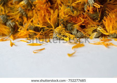 Dried flowers are calendulaed on a white background. Side view.