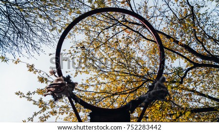 Branches with leaves and sky through a basketball ring