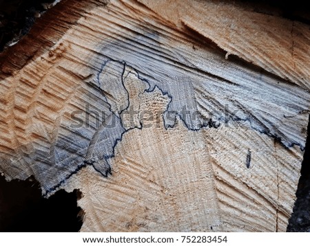 macro cut oak
