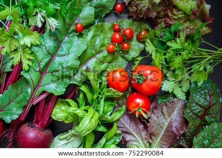 Fresh vegetables tomato and fragrant greens salad, parsley, basil on a dark background, concept of vegetarianism and healthy eating. Flat black background