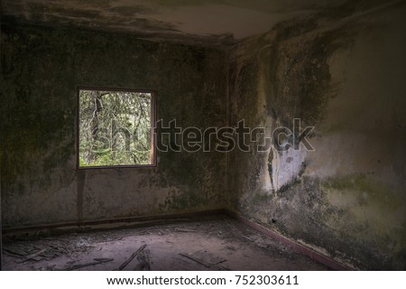 interior of an old abandoned house that is coming down and its walls are very deteriorated