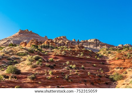 Slope of a stone hill with small cone-shaped domes of sandstone striped structure on the way to Wave - North Coyotes Buttes, on the border of the states of Utah and Arizona, USA