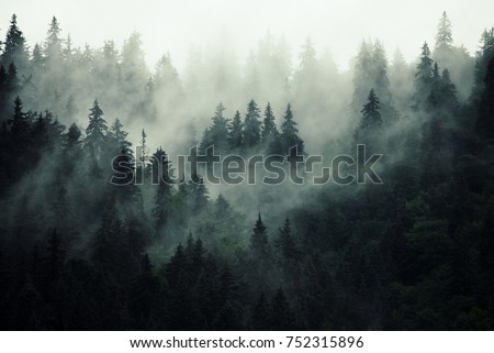 Misty landscape with fir forest in hipster vintage retro style Royalty-Free Stock Photo #752315896