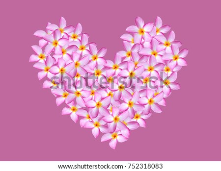 Pink plumeria flowers in heart shape pattern on pink background.
